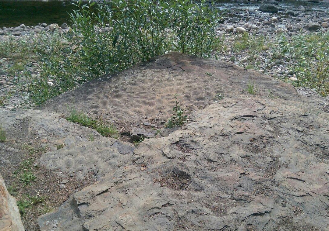 Flatbed Valley-Tumbler Ridge必去景点