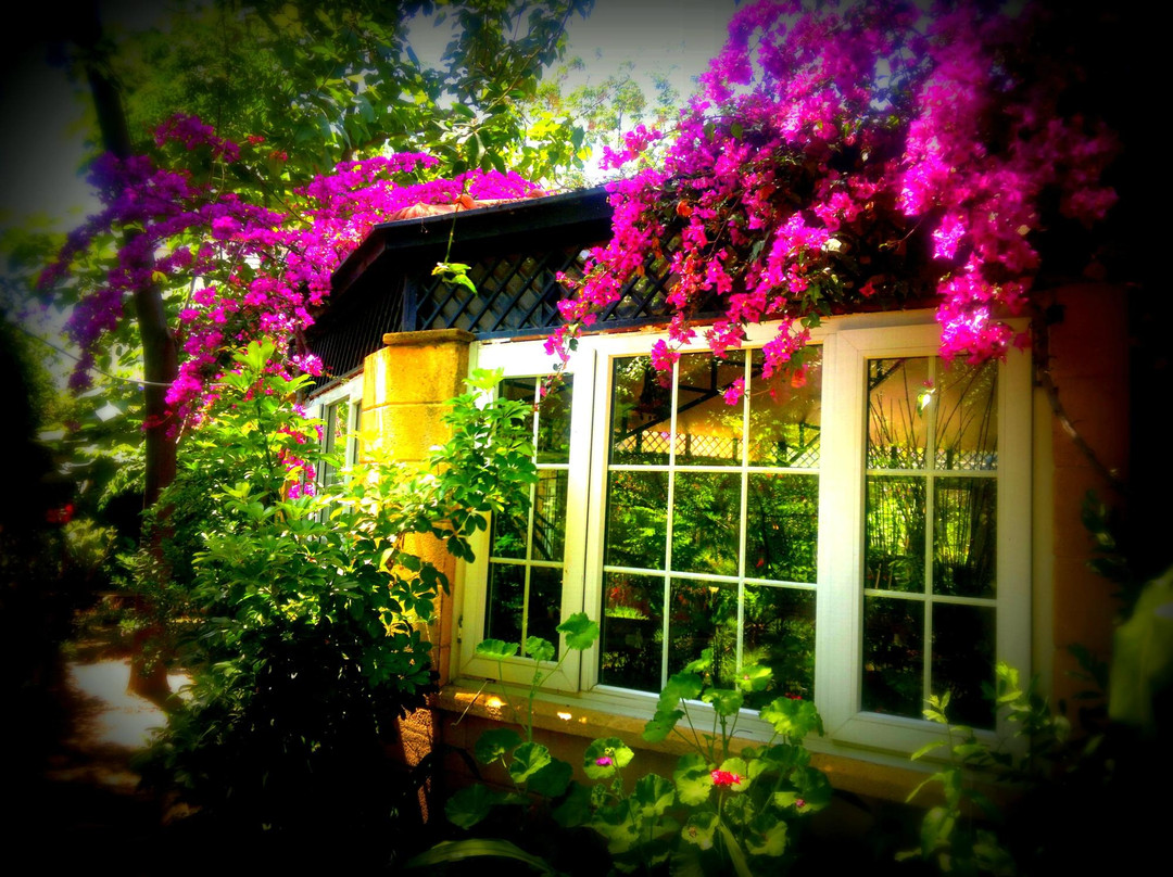 Gardens Of Babel Babil Bahceleri