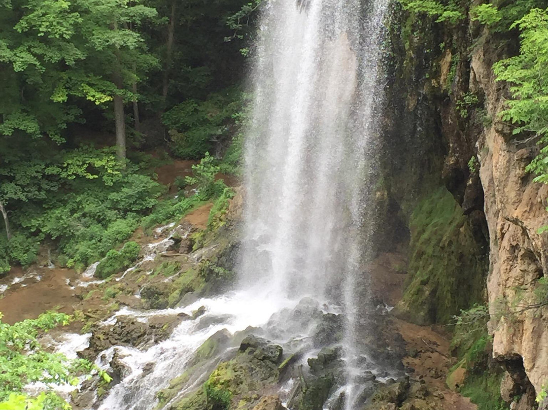 Covington旅游攻略图片