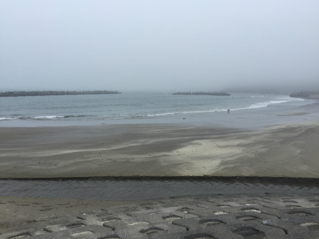 Taneichi Marine Side Park-广野町必去景点