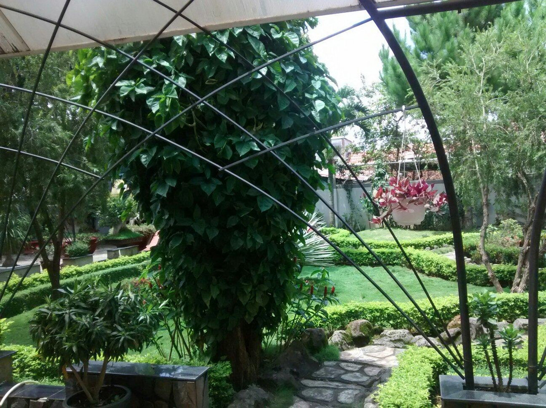 Huynh Gia Bao II Hotel主图