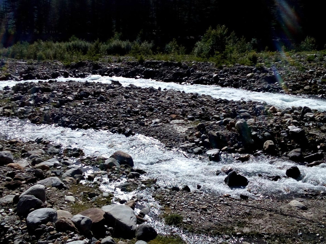 Trout Farm景点图片