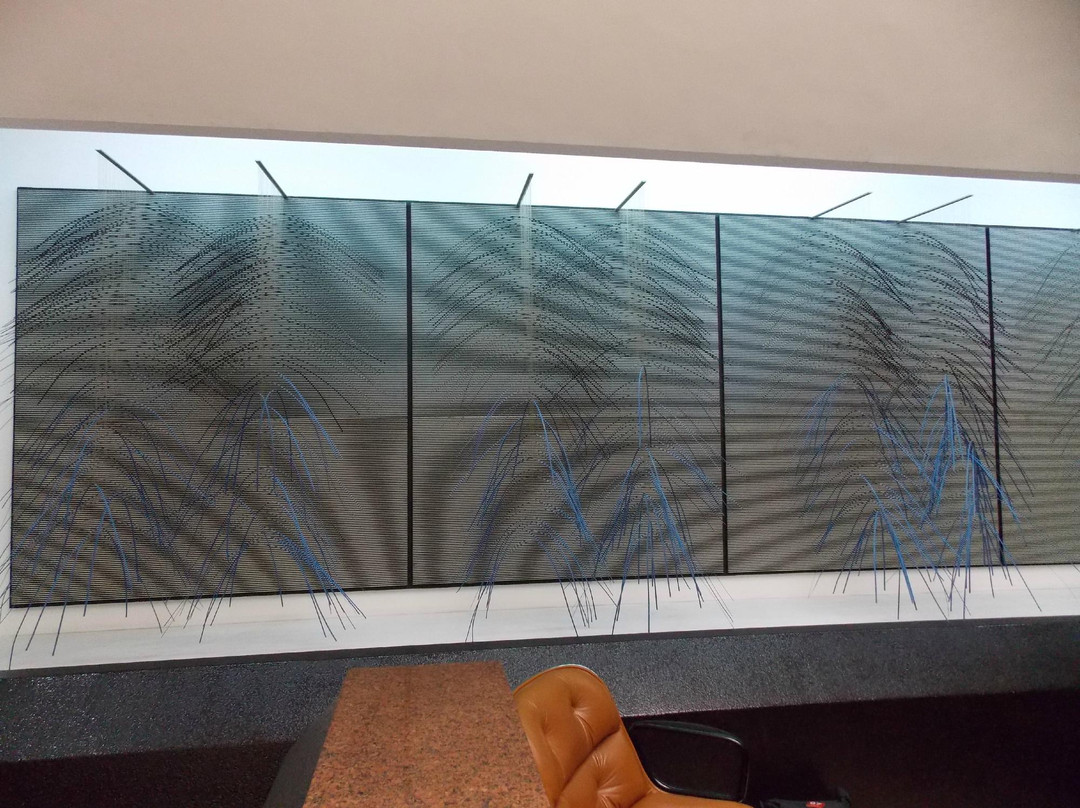 Museo de Arte Contemporaneo景点图片