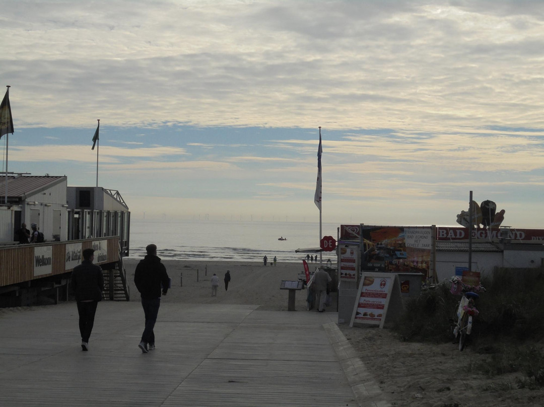 Strand Egmond aan Zee景点图片