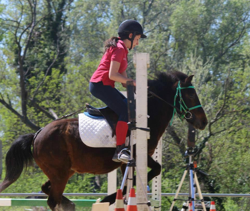 Maneggio Team Horse景点图片