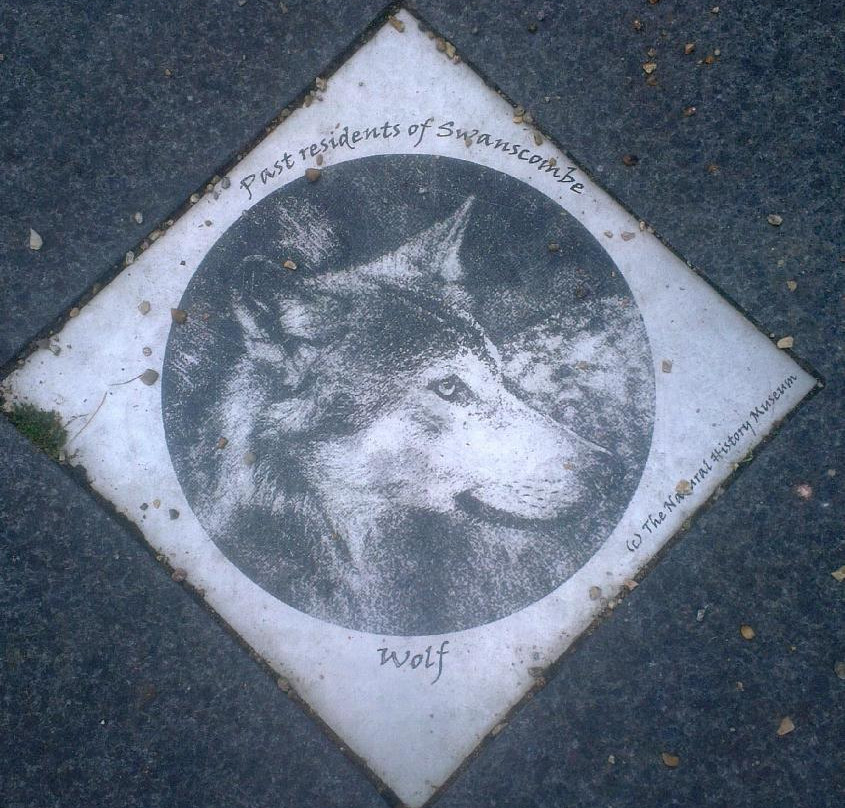 Swanscombe Heritage Park景点图片