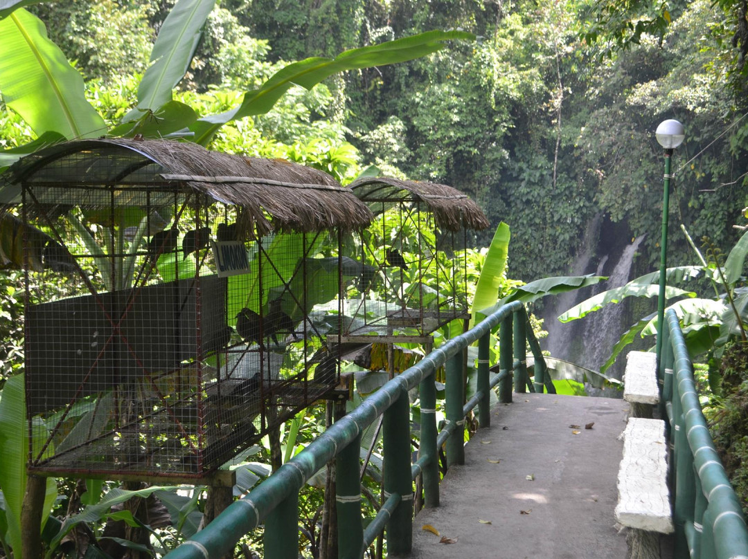 Togonan Falls-Mainit必去景点