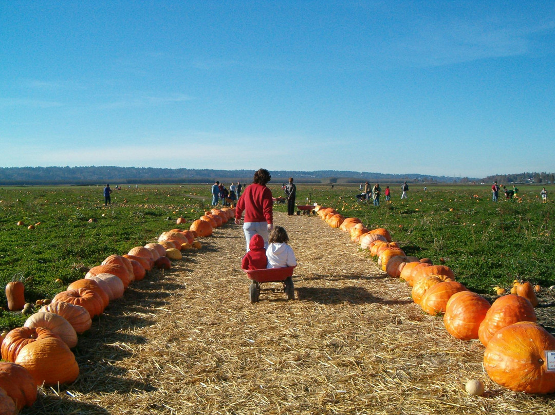 Snohomish旅游攻略图片