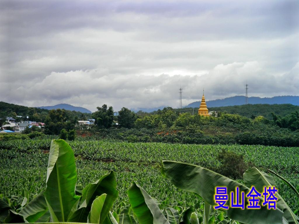 打洛小镇景点图片