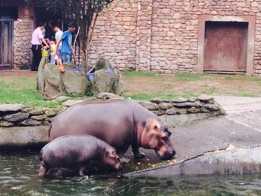 长沙生态动物园-长沙市必去景点