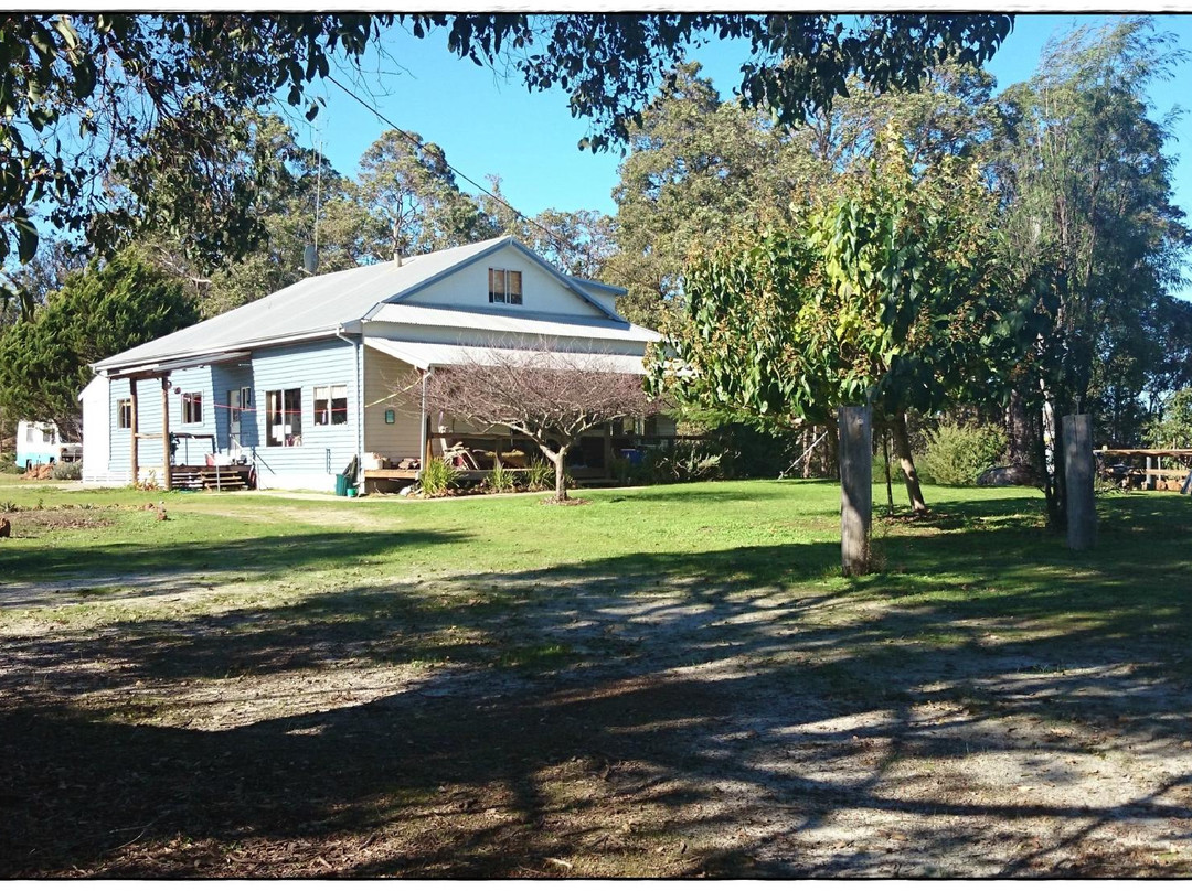 MowenSprings