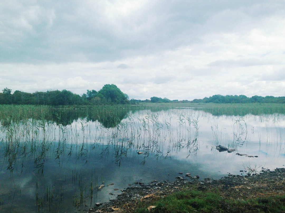 Cross旅游攻略图片