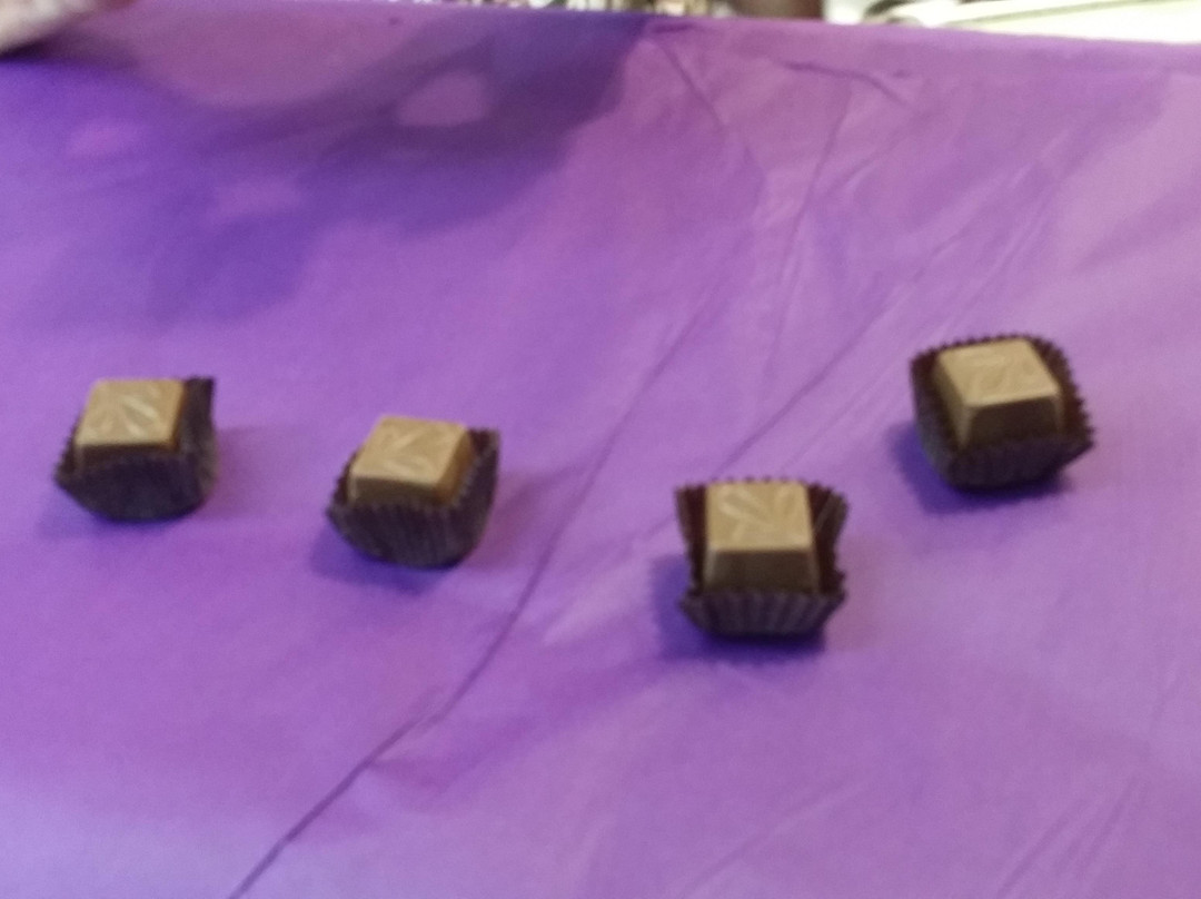 Catch Our Drift - Taste of The Landing-吉布森斯必去景点