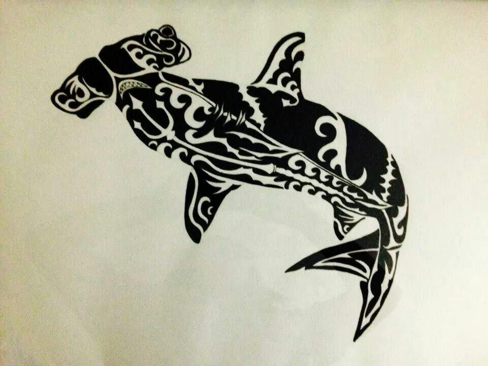 Evolution Divers-瓜尔达马尔德尔塞古拉必去景点