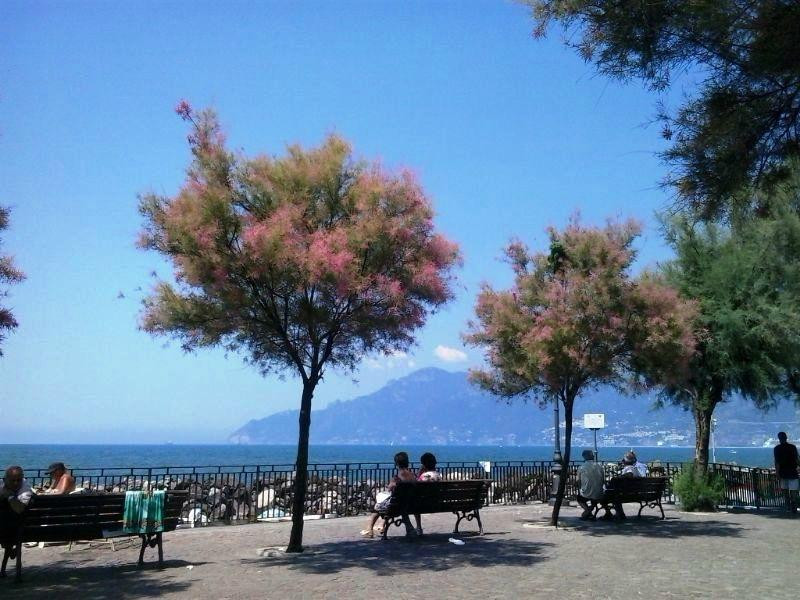 Porticciolo di Pastena景点图片