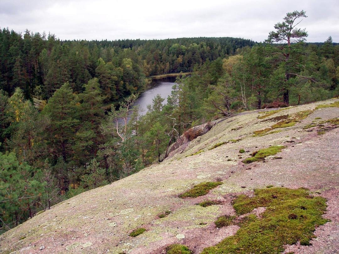 Bjornnasets naturreservat-Hultsfred必去景点