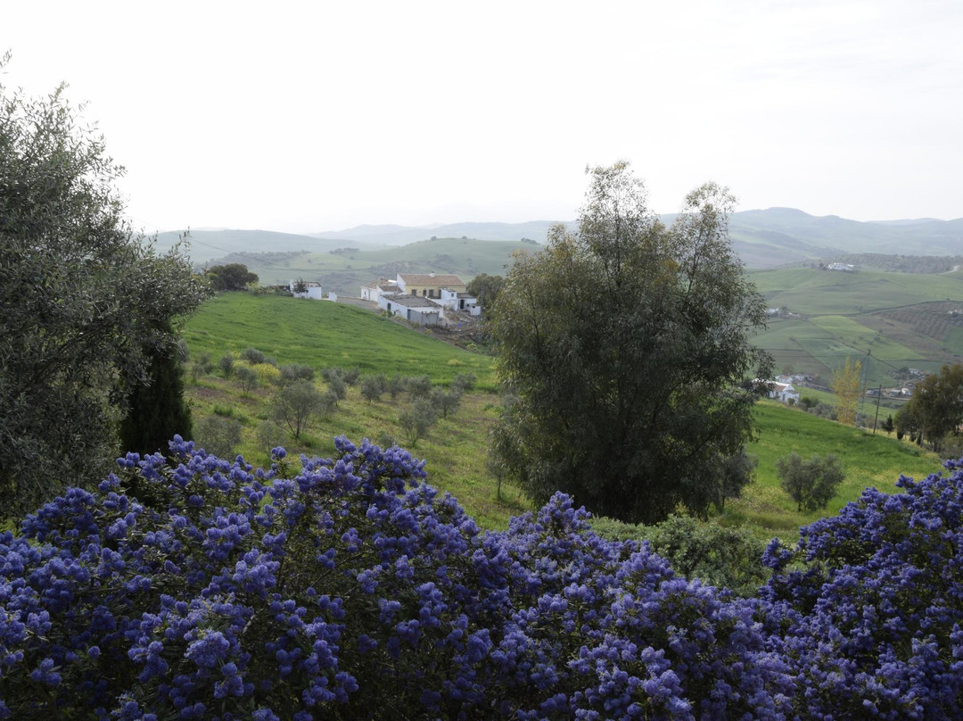 Bed and breakfast Nuestro Cielo主图