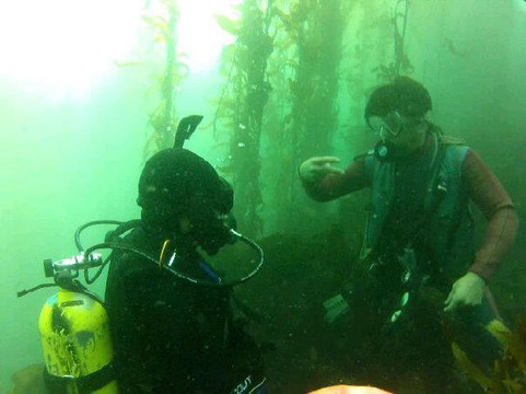 Bajaproscubadivers-恩塞纳达必去景点