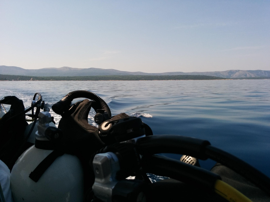 Big Blue Diving景点图片