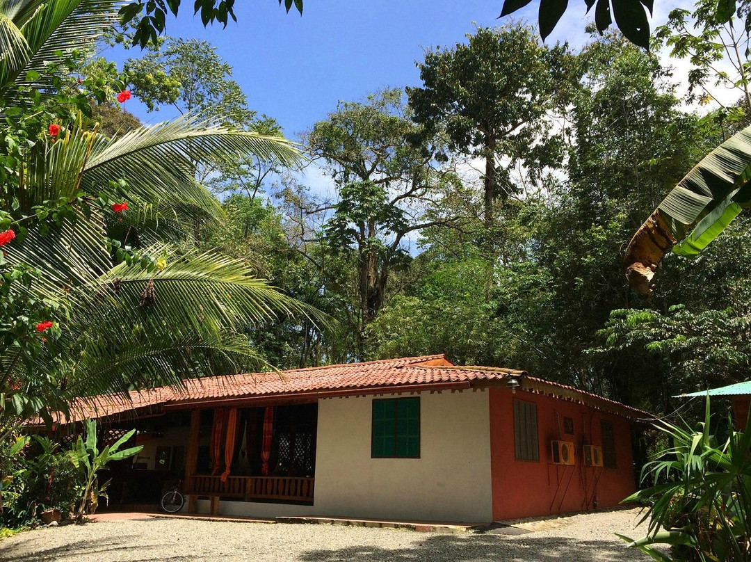 Playa Chiquita旅游攻略图片