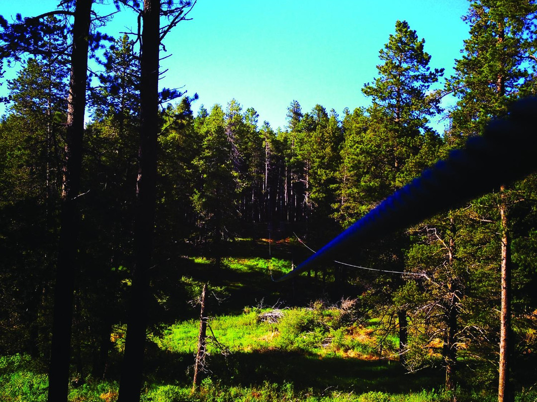 Treeosix Adventure Parks-Maple Creek必去景点