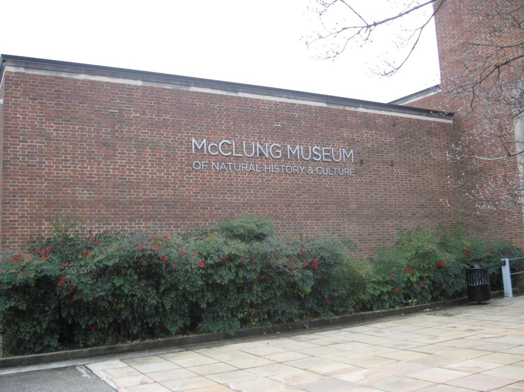McClung Museum of Natural History and Culture景点图片