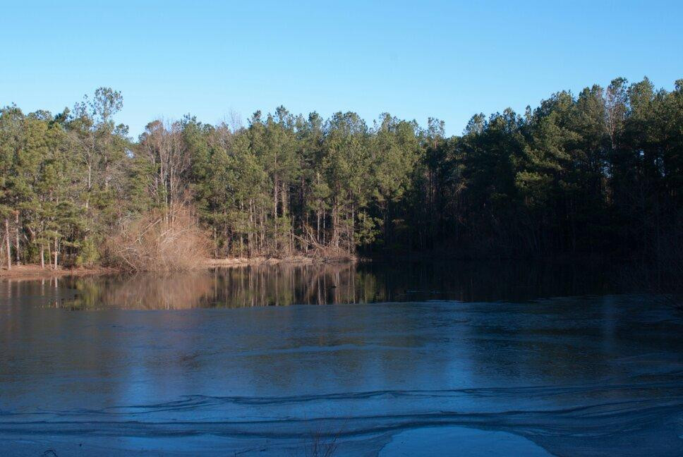 Carolina Bay Nature Preserve景点图片