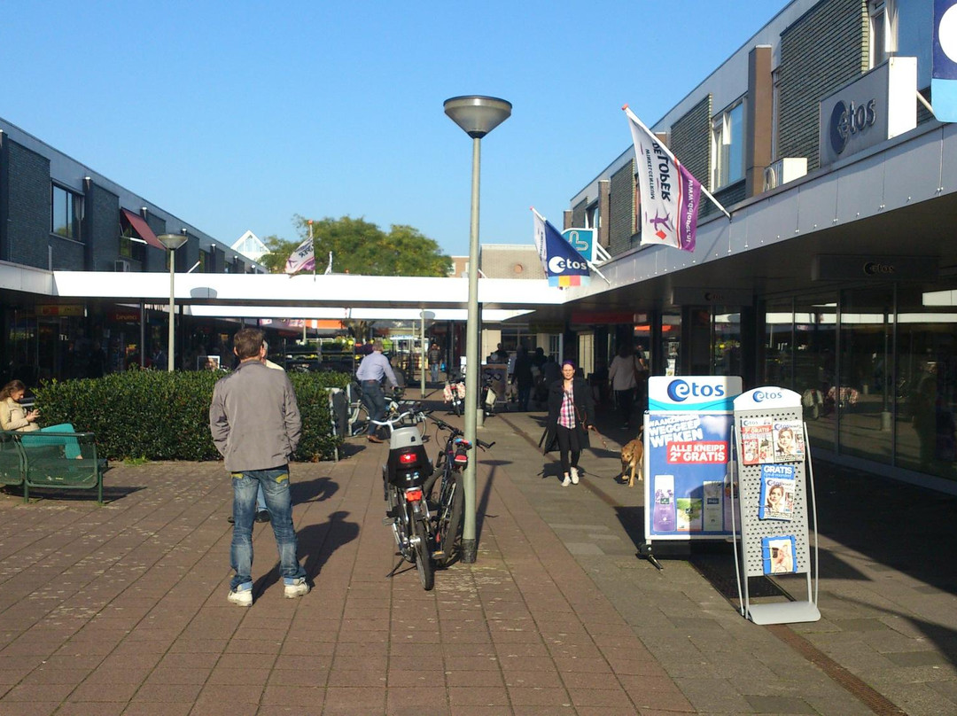 Winkelcentrum de Loper景点图片