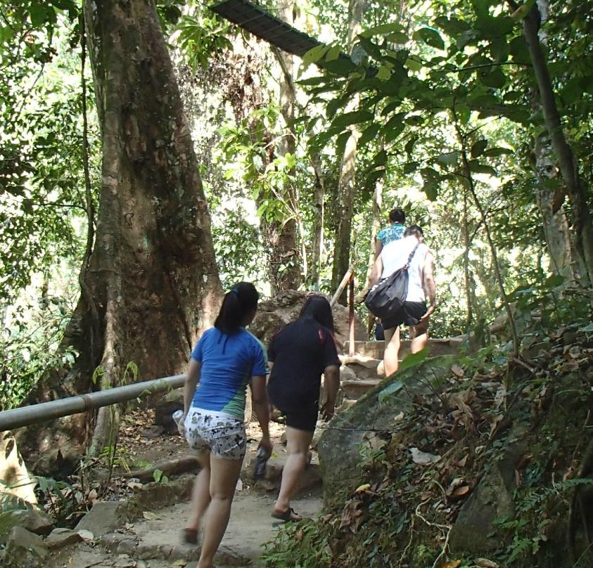 Mount Kanlaon's Seven Falls景点图片