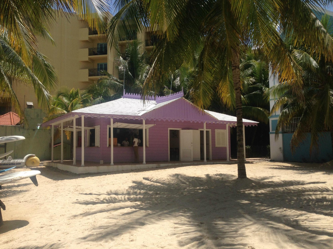 ScubaCaribe - Ocho Rios-奥乔里奥斯必去景点