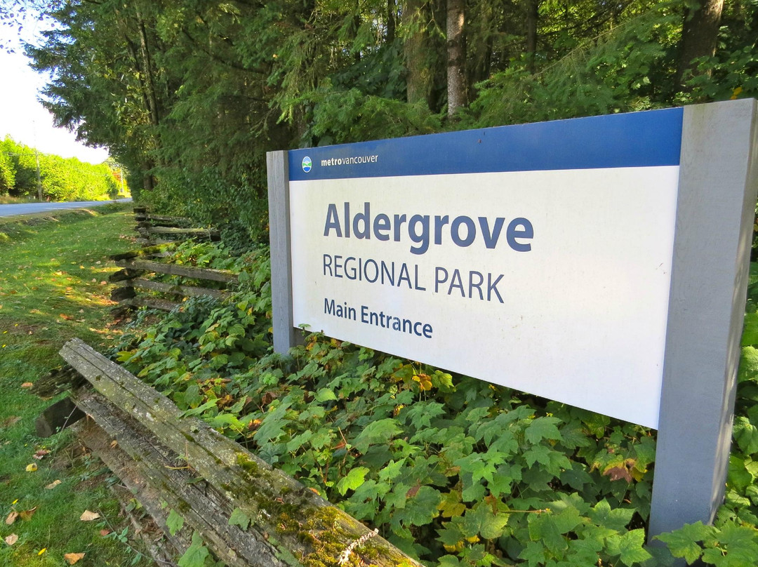 Aldergrove Park-Aldergrove必去景点