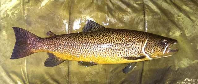 Loch Garry Fishing-因弗内斯必去景点