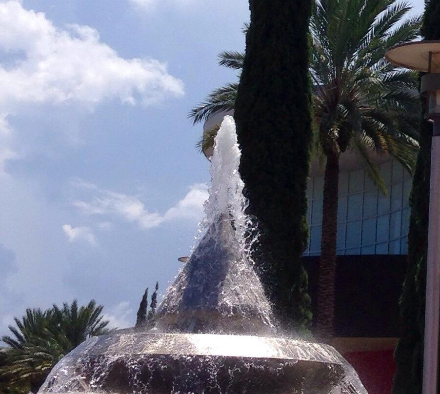 The Downtown Carousel-棕榈滩花园必去景点