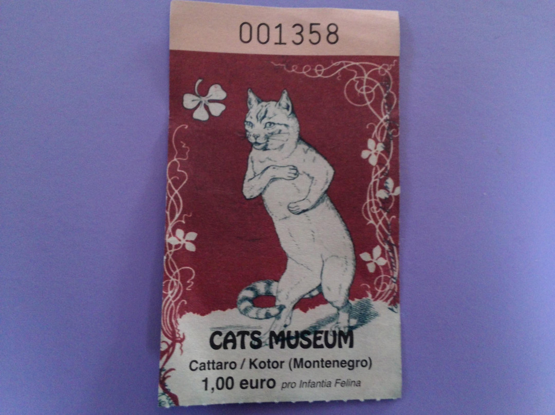 Cats Museum-科托尔必去景点