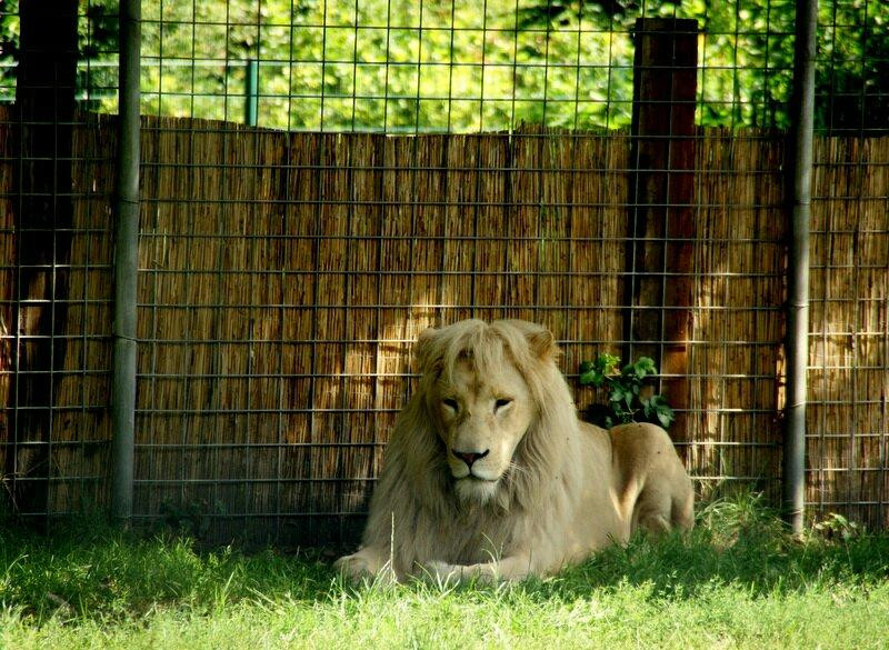 Tier Und Freizeitpark Thuele GmbH景点图片
