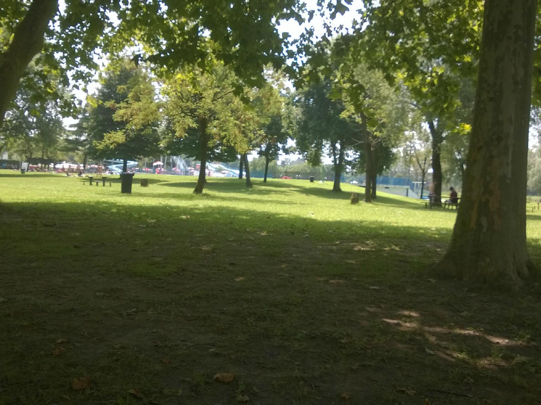Parco Acquatico Villabella景点图片