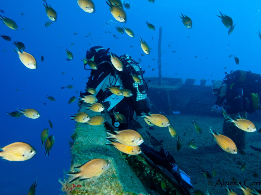 Porto Santo Sub - Centro de Mergulho-Porto Santo Island必去景点