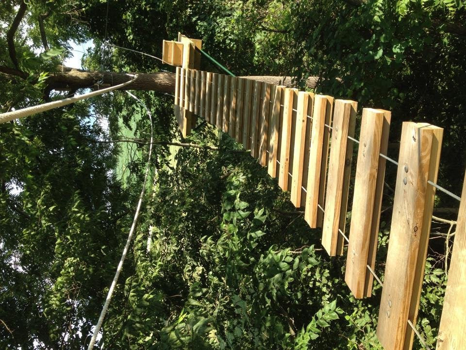 Zip Timber Lake景点图片