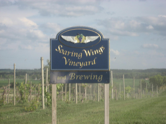 Soaring Wings Vineyard-Springfield必去景点