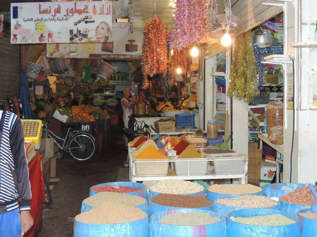 Taroudant Guided Tours-塔鲁丹特必去景点