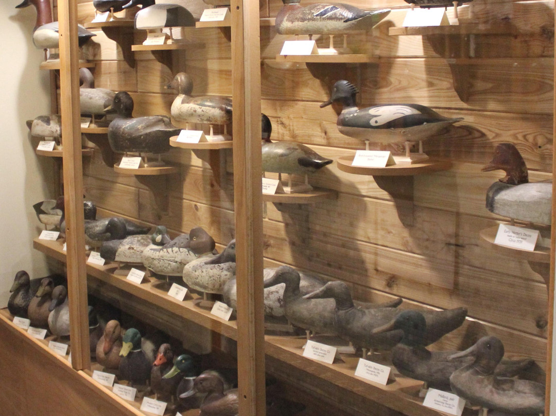 Flyways Waterfowl Experience-巴拉布必去景点