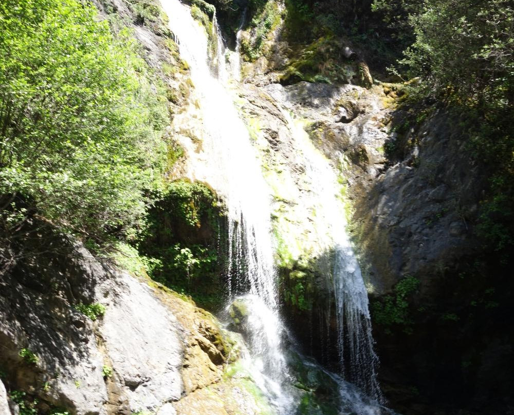 Salmon Creek Falls Trail-大苏尔必去景点