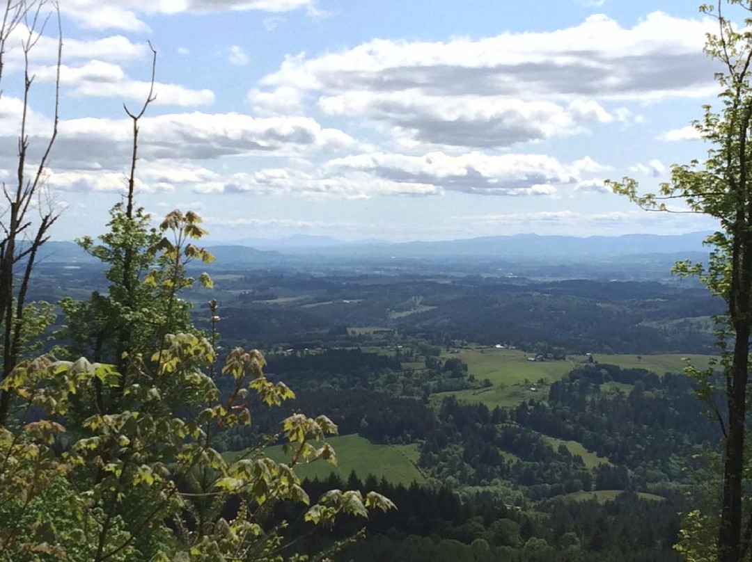 希尔斯伯勒旅游攻略图片