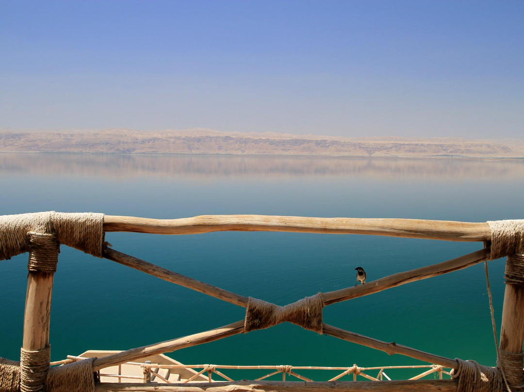 O Beach-死海地区必去景点