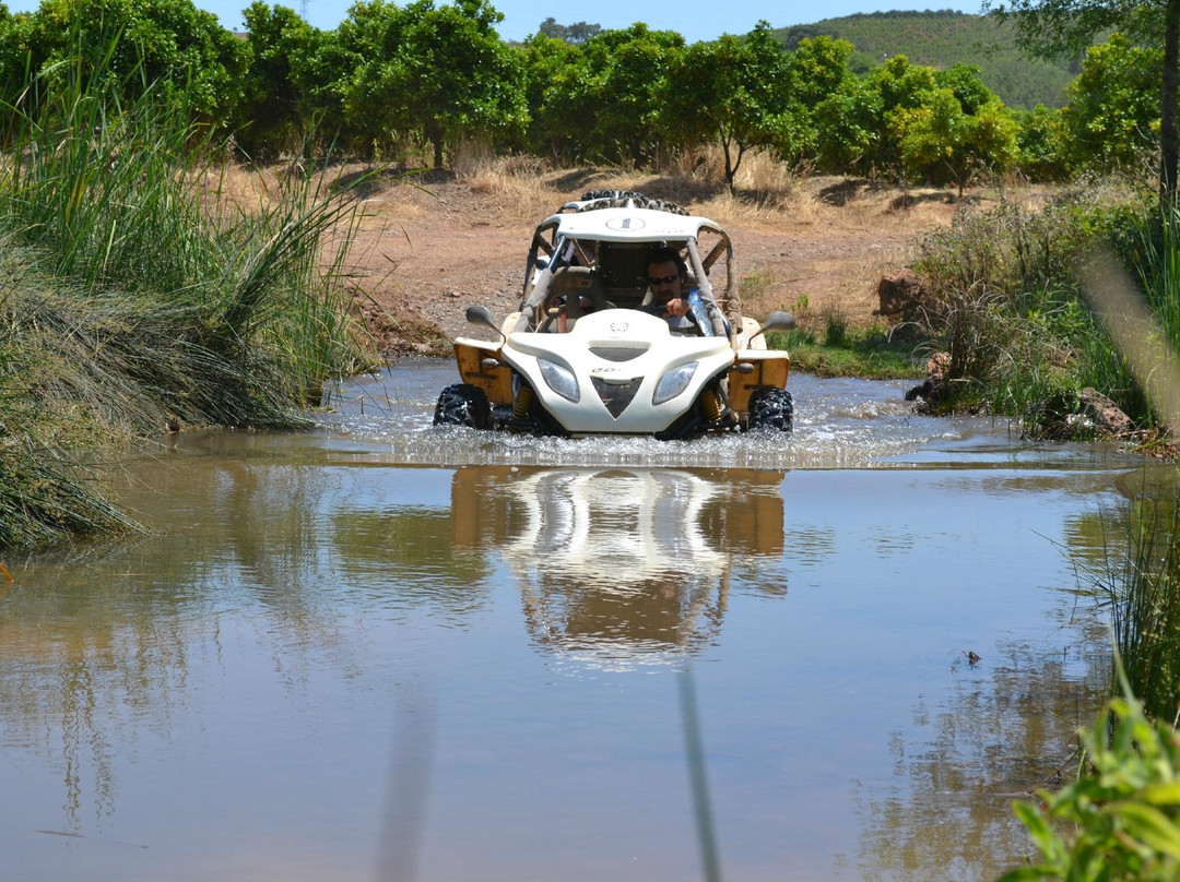 Bulldog Buggies-Silves必去景点