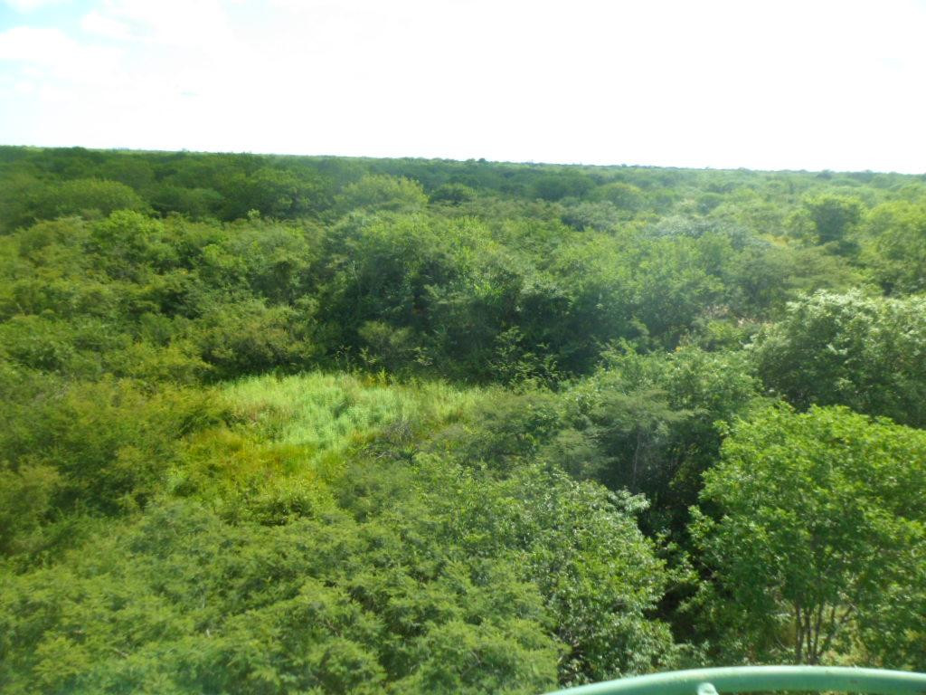 Parque Estadual da Lagoa do Cajueiro-Januaria必去景点