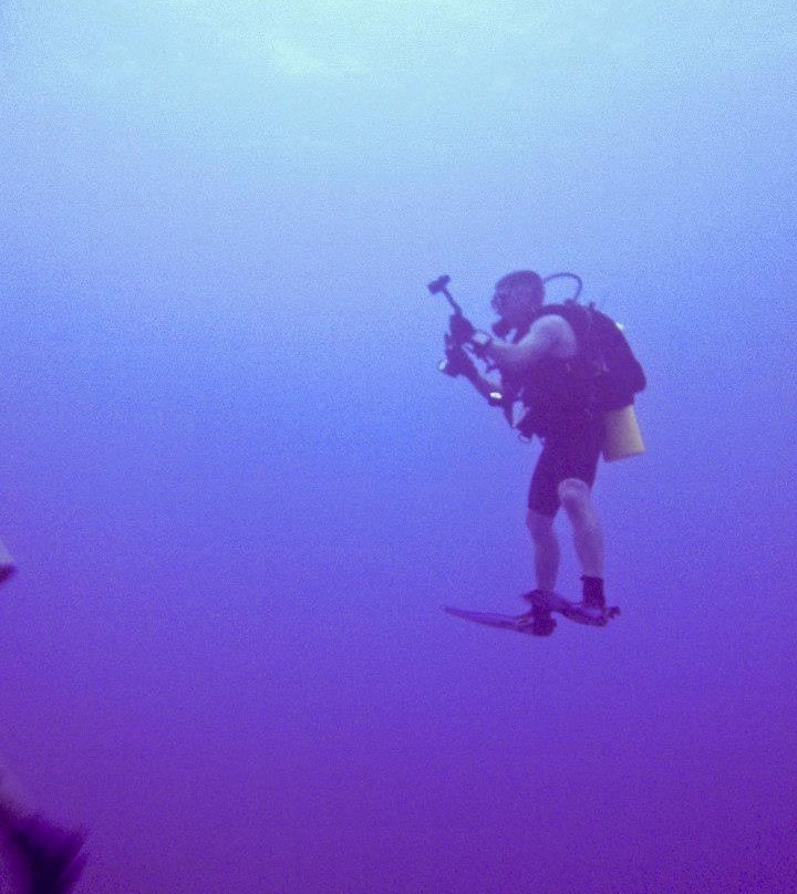 Underwater Oahu-怀厄奈必去景点