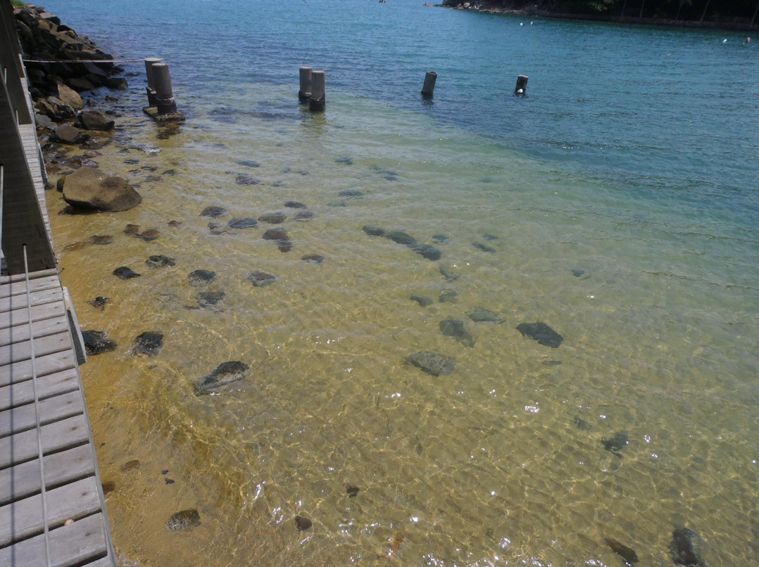Pedras Miudas Beach-伊利亚贝拉必去景点