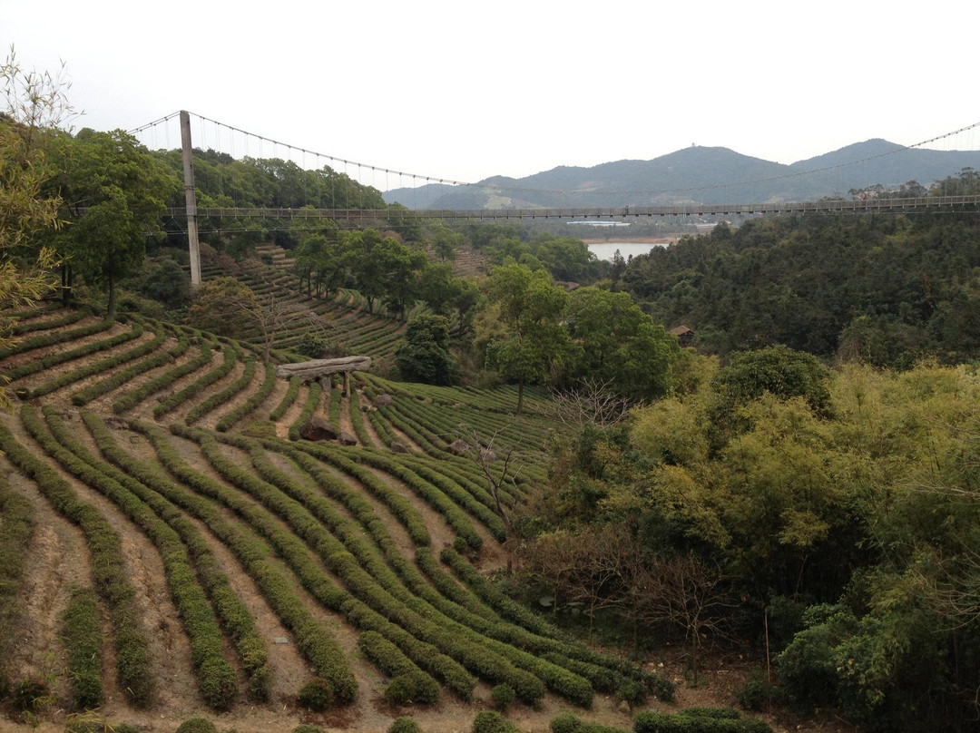 深圳东部华侨城-深圳市必去景点