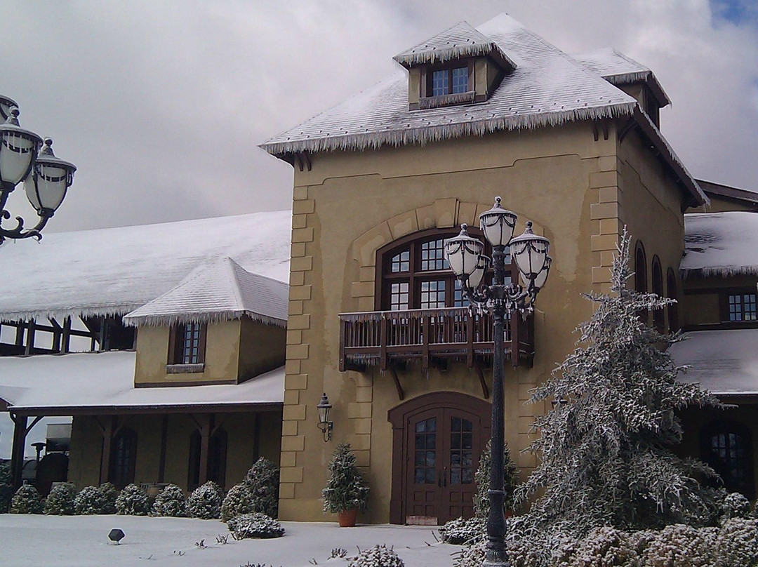 Chateau Morrisette Winery景点图片